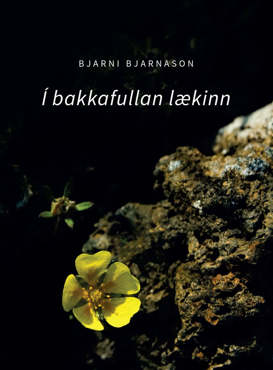 Í bakkafullan lækinn