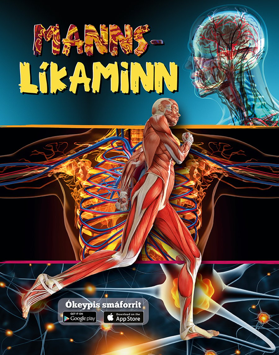 Mannslíkaminn