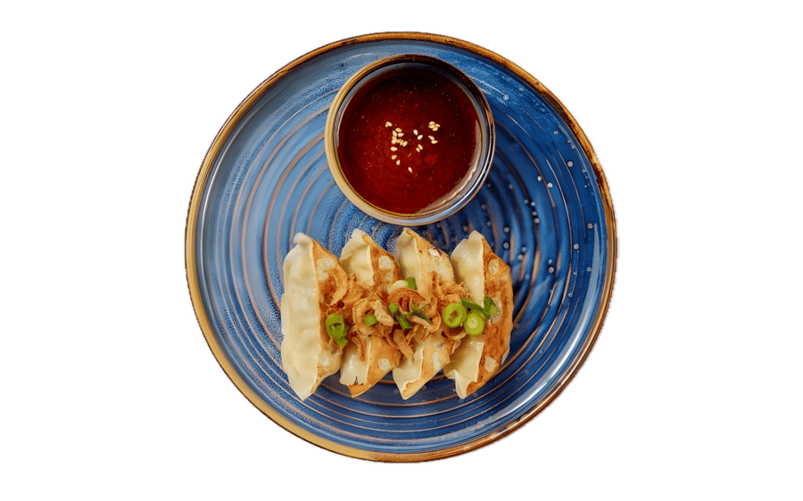 Gyoza svínakjöt