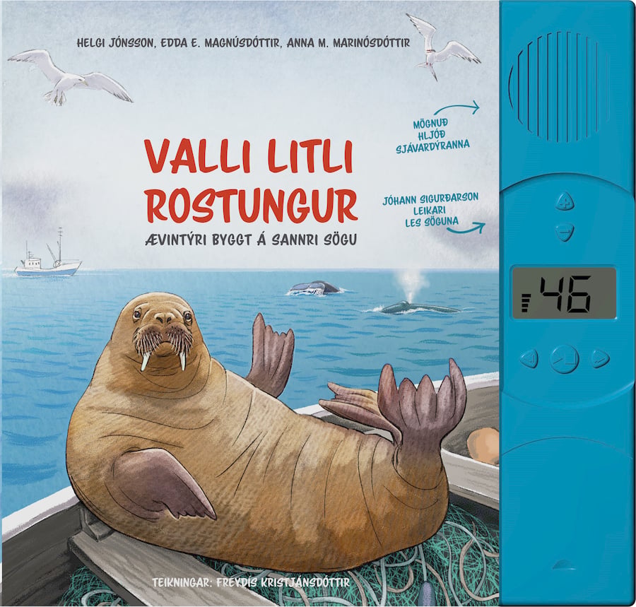 Valli litli rostungur