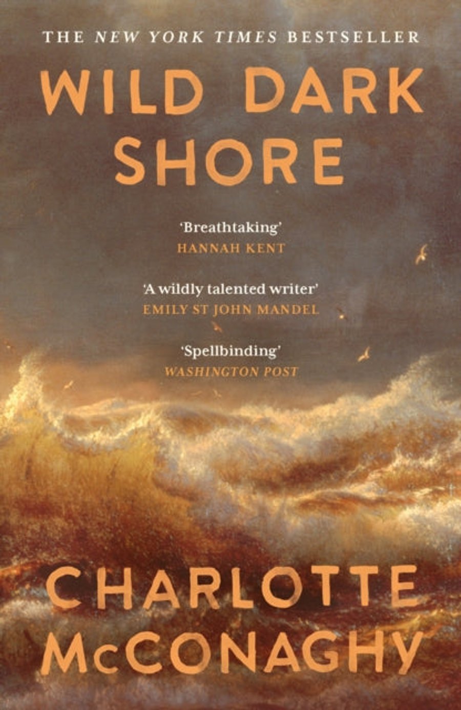 Wild Dark Shore