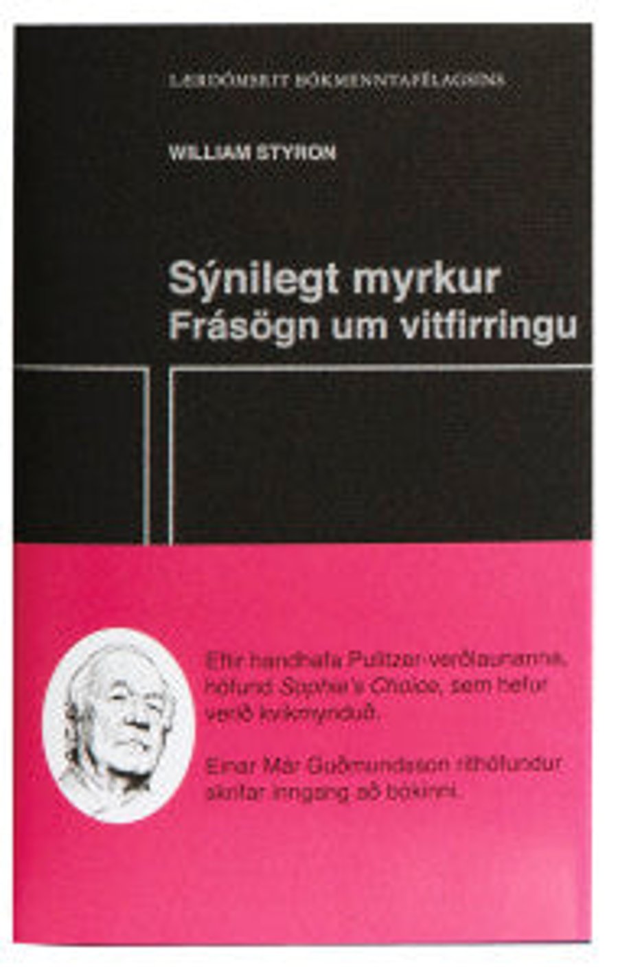 Sýnilegt myrkur - frásögn um vitfirringu