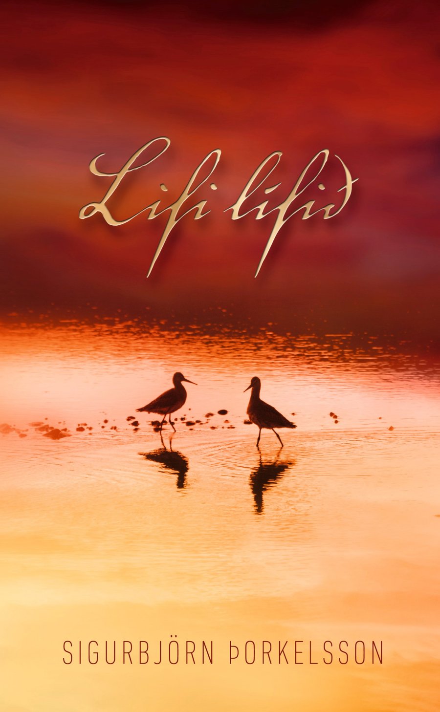 Lifi lífið