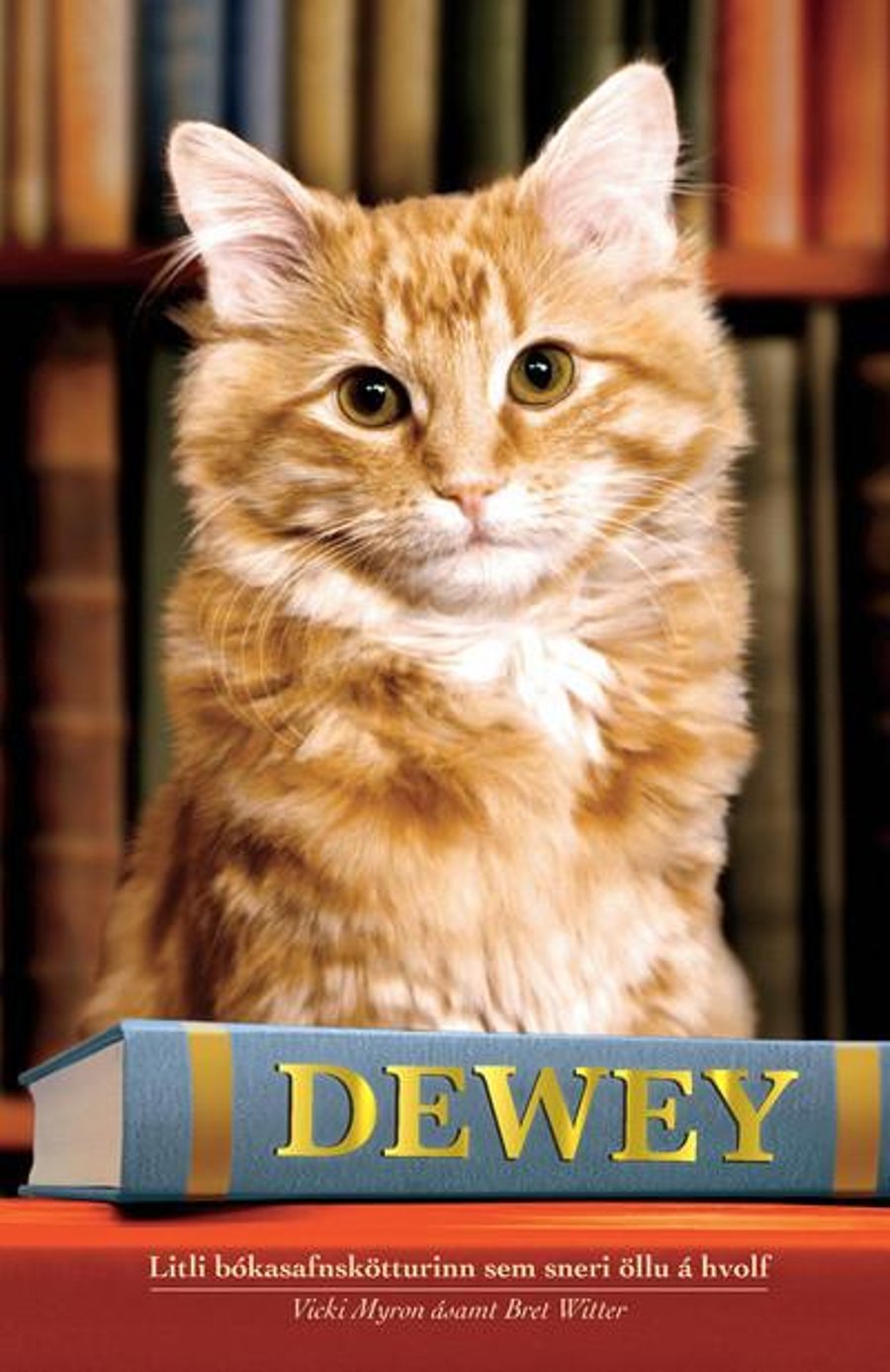 Dewey bókasafnskötturinn
