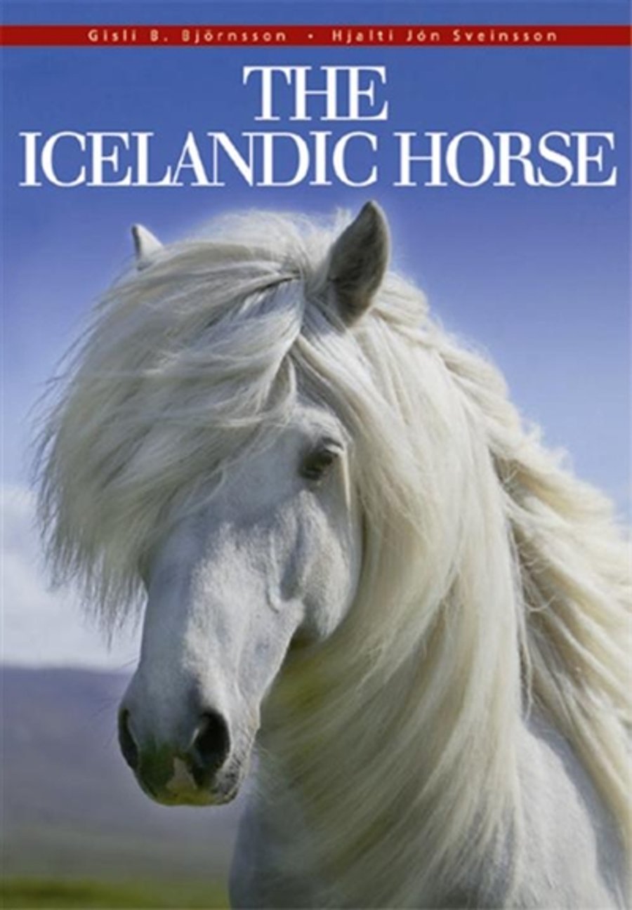 The Icelandic Horse - large format