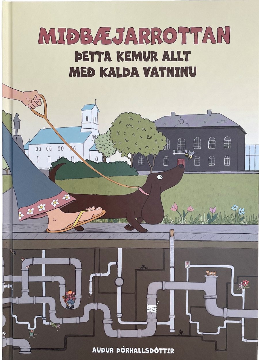 Miðbæjarrottan: Þetta kemur allt með kalda vatninu