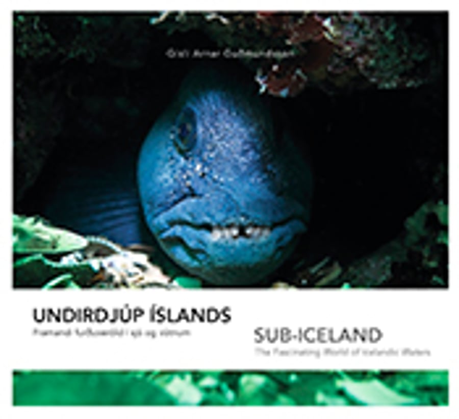 Undirdjúp Íslands / Sub-Iceland