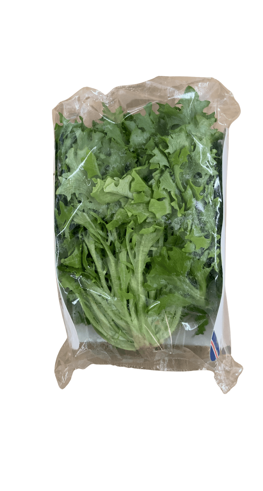 Lambhagi Crispisalat