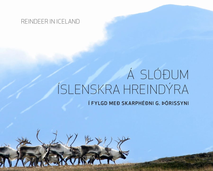 Á slóðum íslenskra hreindýra: Í fylgd með Skarphéðni G. Þórissyni
