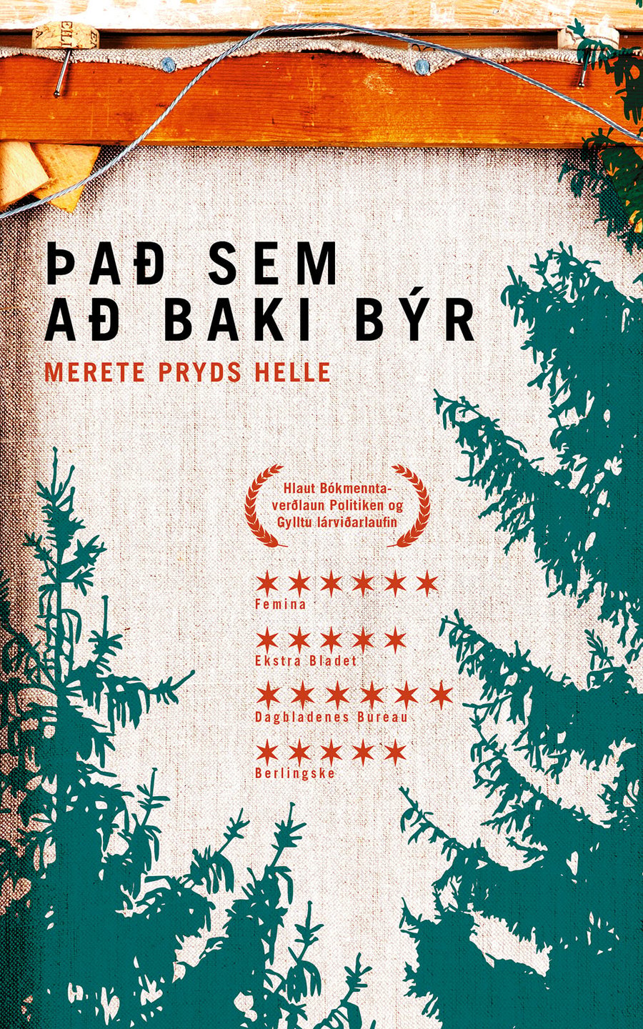 Það sem að baki býr