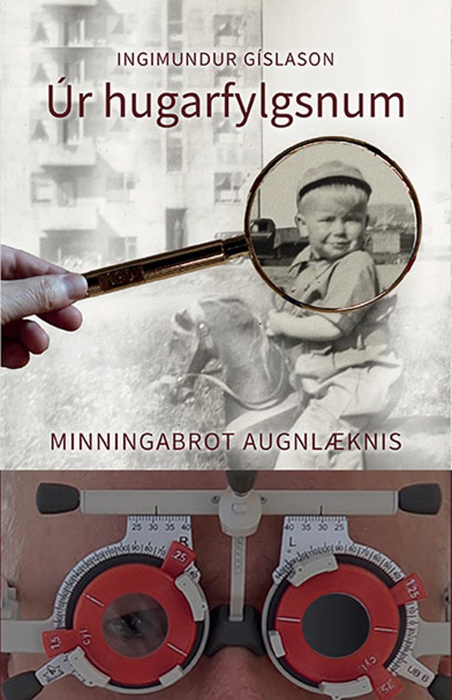 Úr hugarfylgsnum - Minningabrot augnlæknis