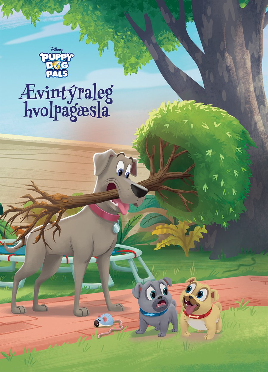 Ævintýraleg hvolpagæsla + CD