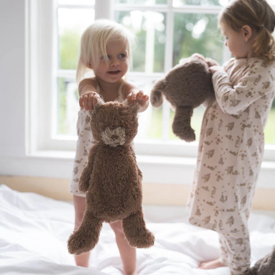 Houston Heavy Teddy Small – þyngdarbangsi