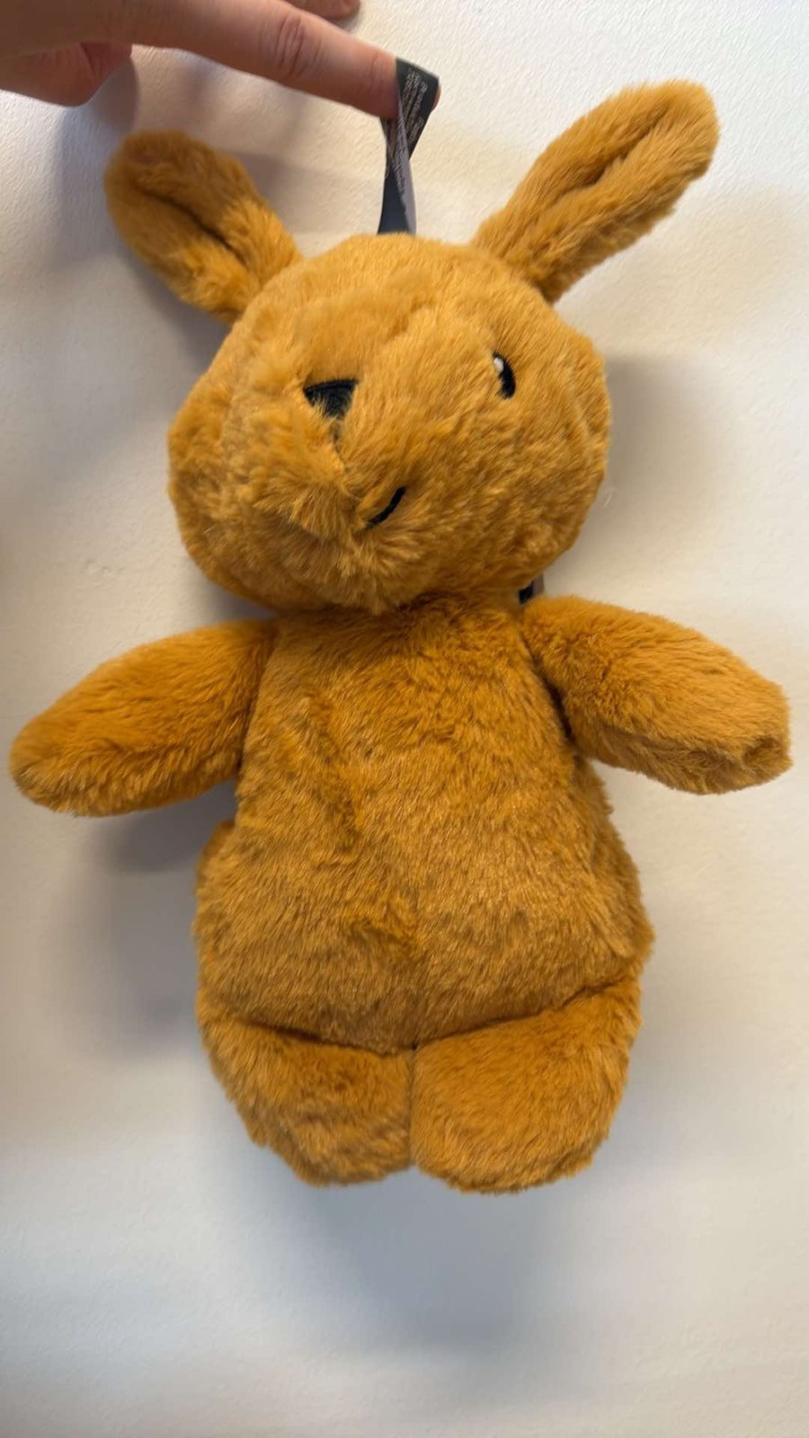Barnahitapoki kanína