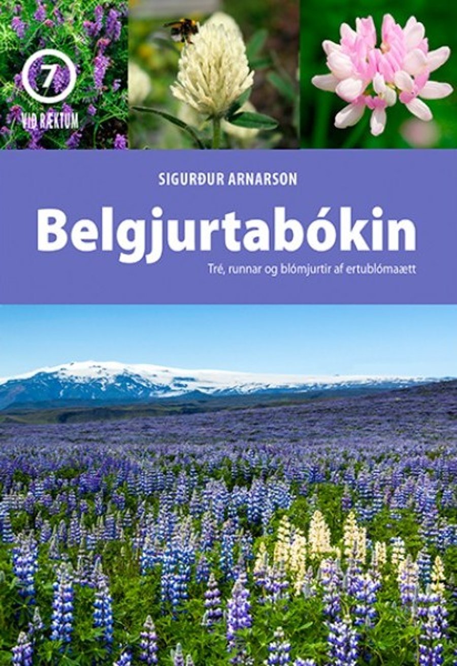 Belgjurtabókin