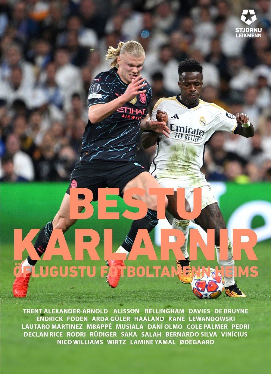 Bestu karlarnir