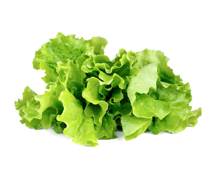 Click and Grow Smart Garden Áfylling 3-pack - Grænkál (Green Lettuce)