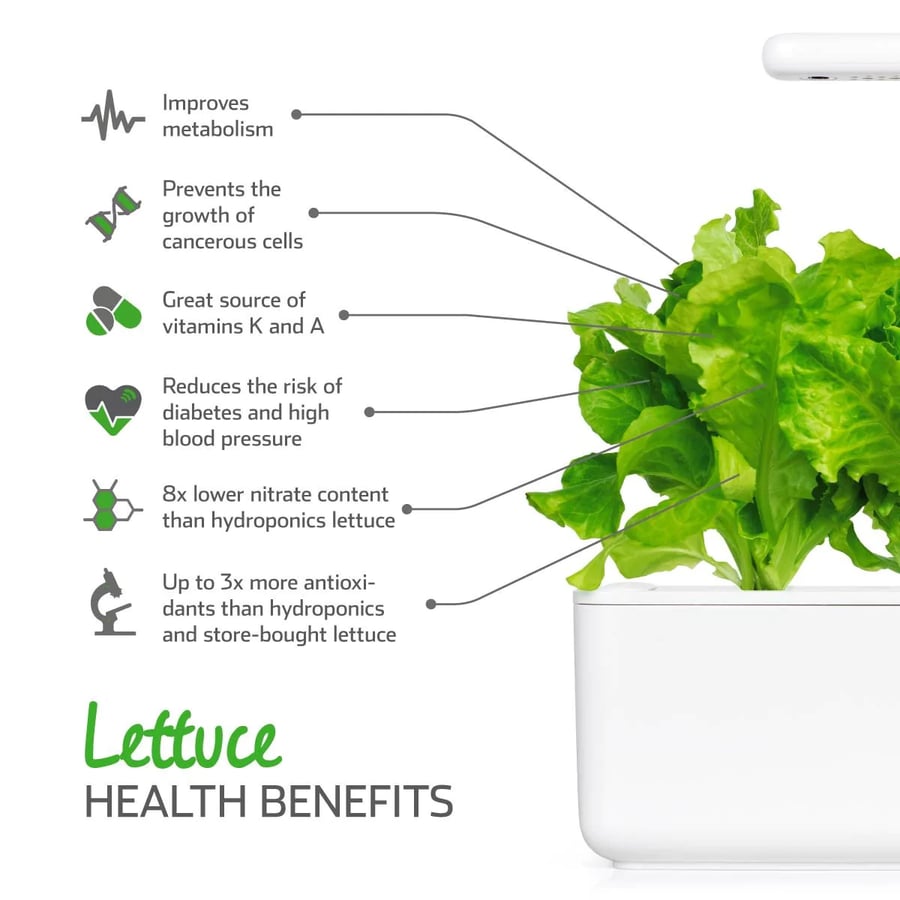 Click and Grow Smart Garden Áfylling 3-pack - Grænkál (Green Lettuce)