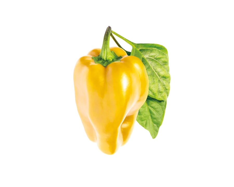 Click and Grow Smart Garden Áfylling 3-pack - Gul sæt paprika (Yellow Sweet Peppers)