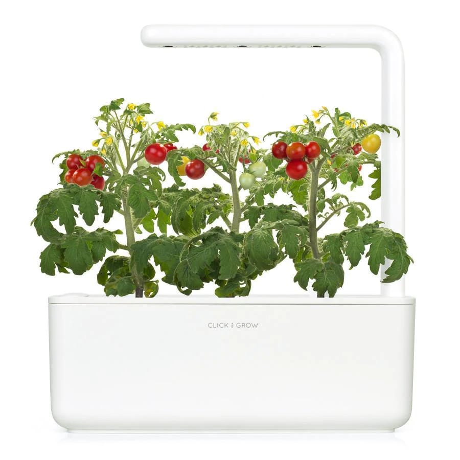 Click and Grow Smart Garden Áfylling 3-pack - Kirsuberja tómatar (Mini Tomato)