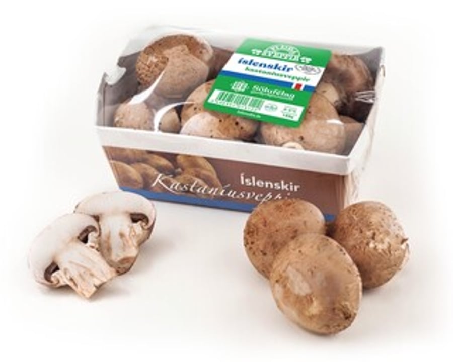 SFG Íslenskir Kastaníusveppir 150 g