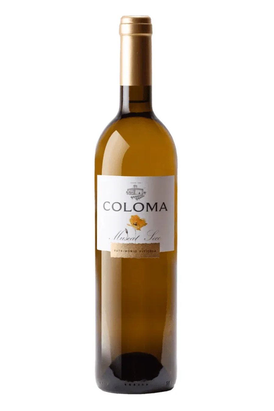 2024 Coloma Muscat