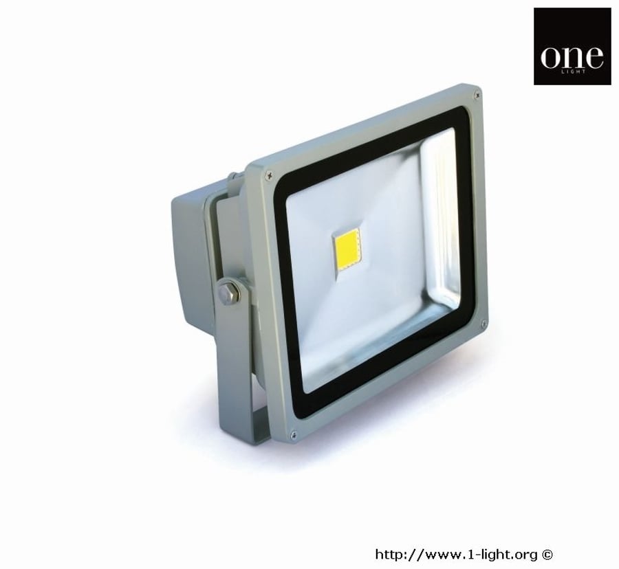 30W Led Floodlight RGB