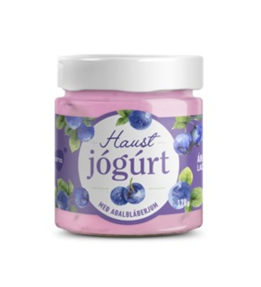 Arna haustjógúrt 170 g