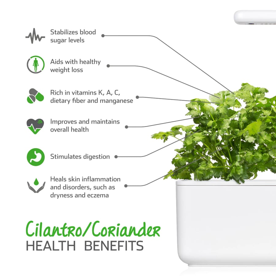 Click and Grow Smart Garden Áfylling 3-pack Kóríander - (Cilantro eða Coriander)