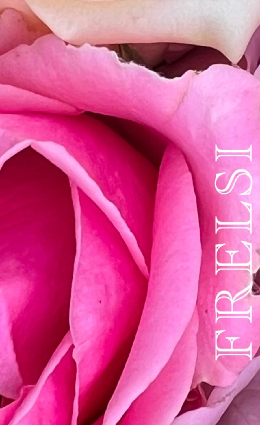 Frelsi