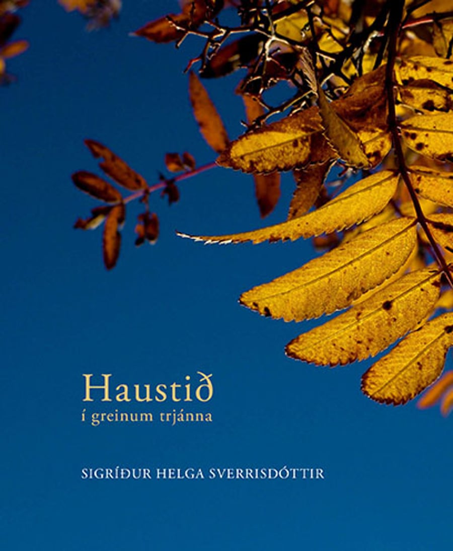 Haustið í greinum trjánna