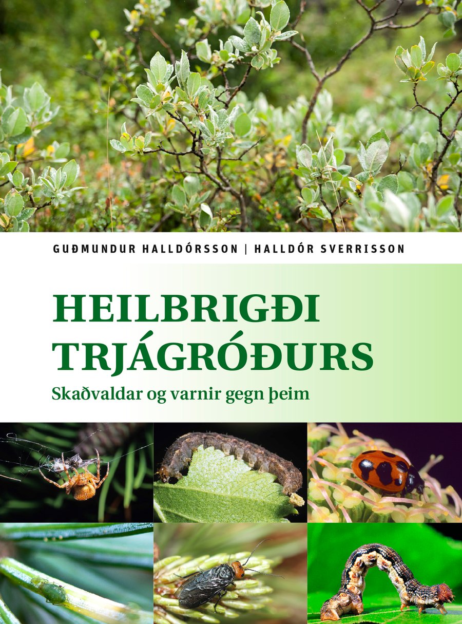 Heilbrigði trjágróðurs