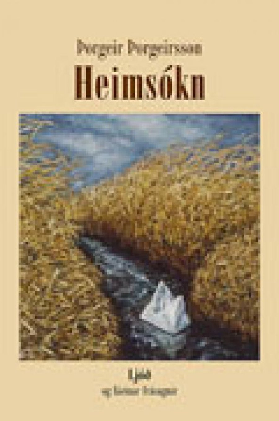 Heimsókn