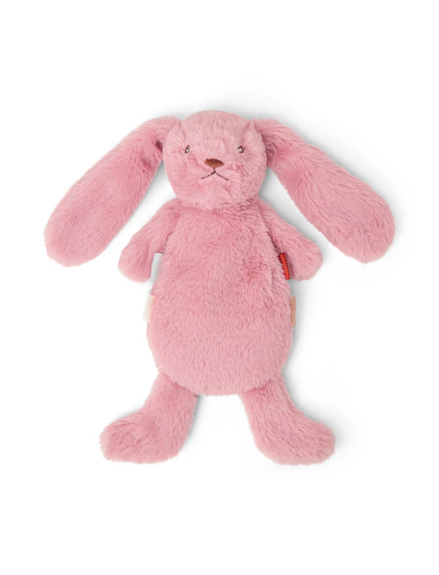 Houston Heavy Teddy mini Bunny rose