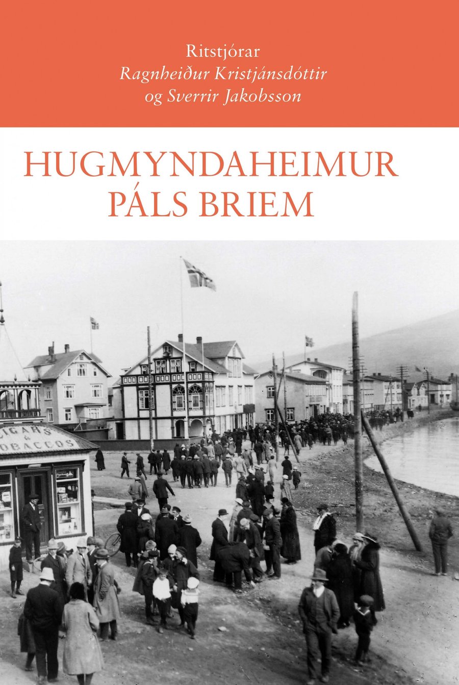 Hugmyndaheimur Páls Briem
