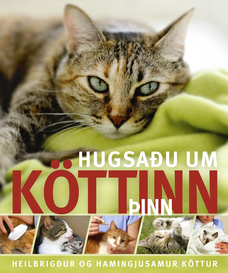 Hugsaðu um köttinn þinn