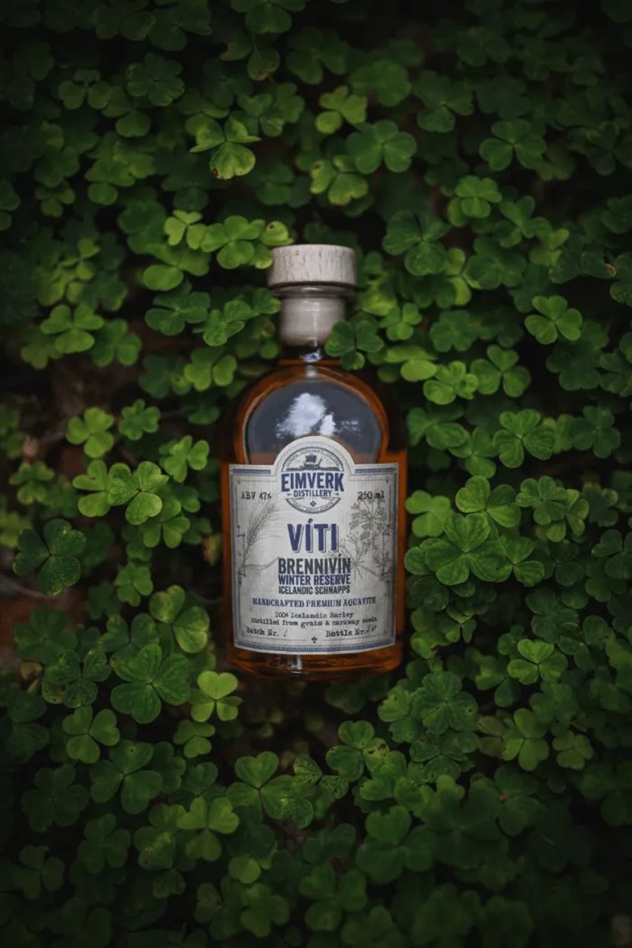 Víti Winter Icelandic Brennivín