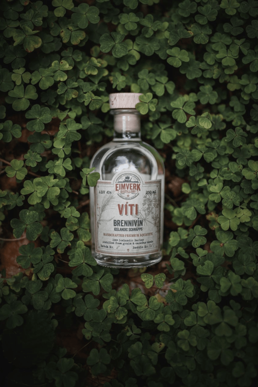Víti Icelandic Small Batch Brennivín