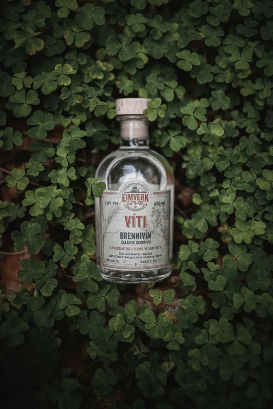 Víti Icelandic Small Batch Brennivín
