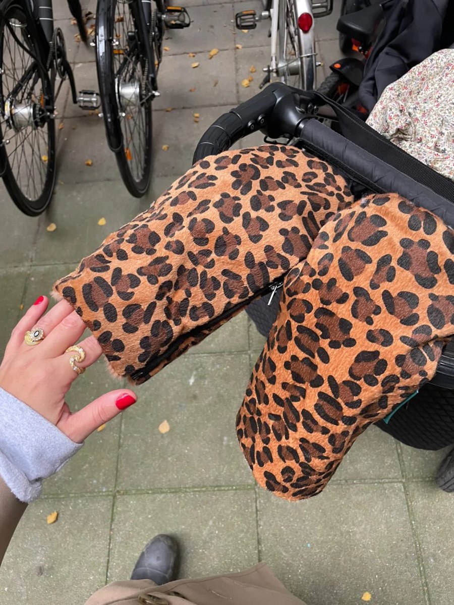 Kerruhanskar Leopard