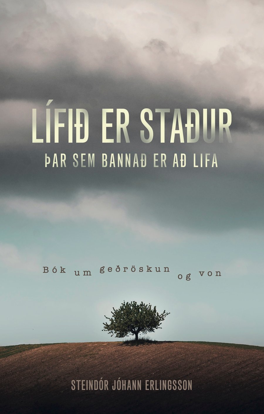 Lífið er staður þar sem bannað er að lifa: Bók um geðröskun og von
