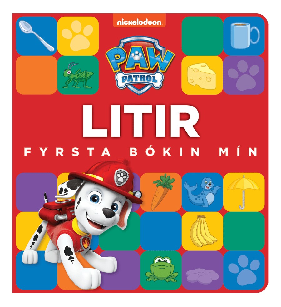 Litir: Fyrsta bókin mín