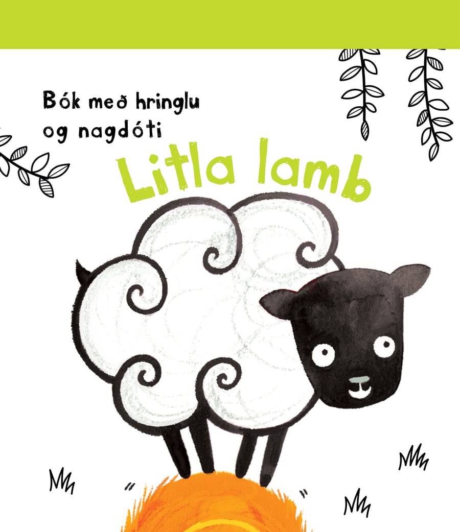 Litla lamb