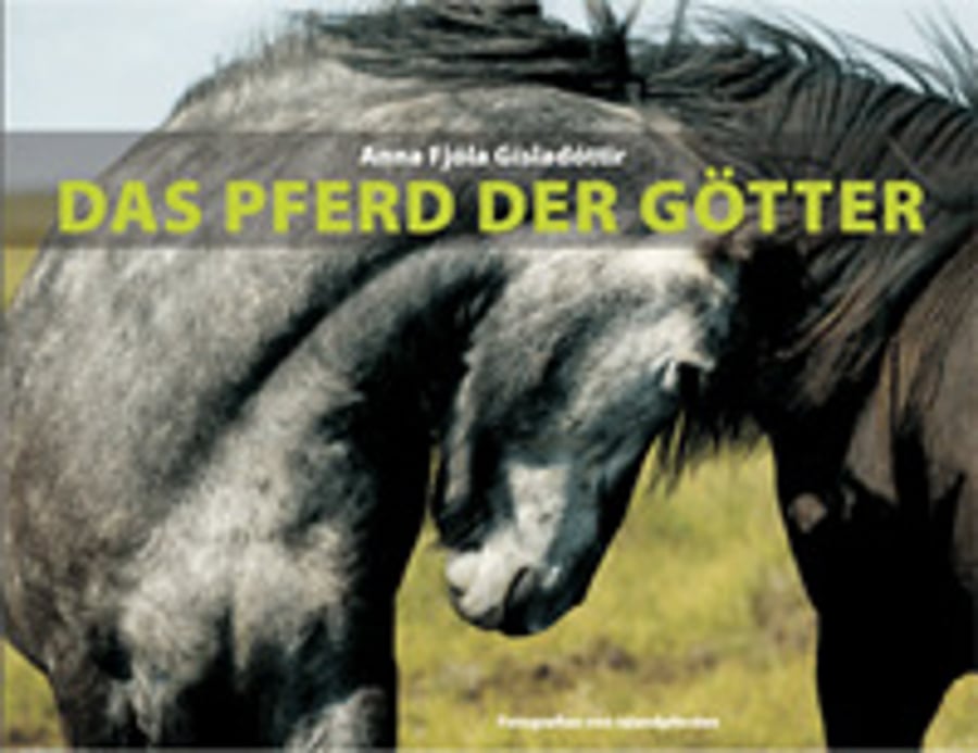 Das Pferd der götter