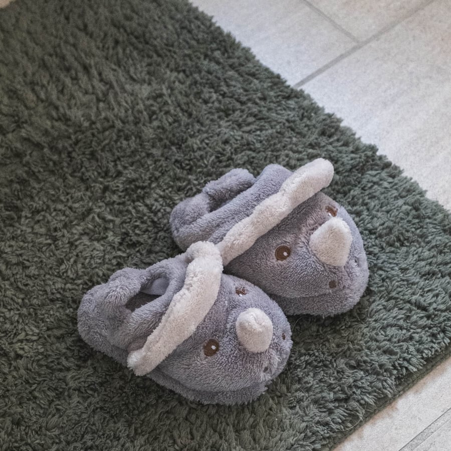 Miles Slippers Dino – inniskór