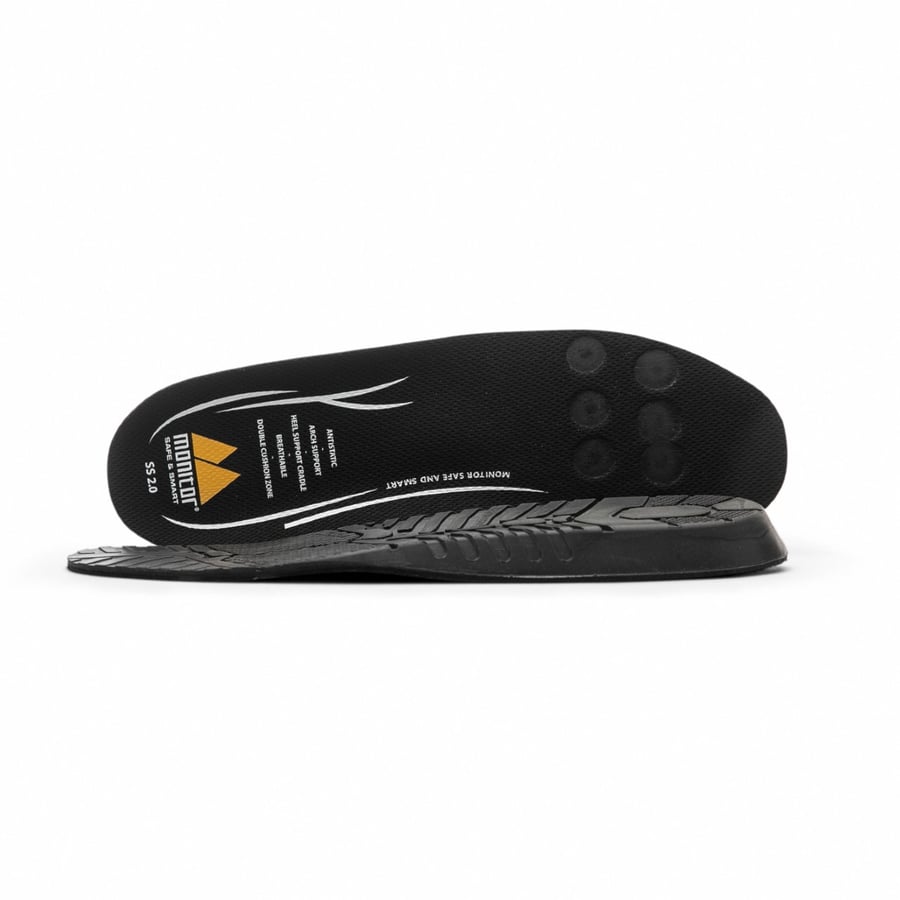 Monitor Innlegg SS 2.0