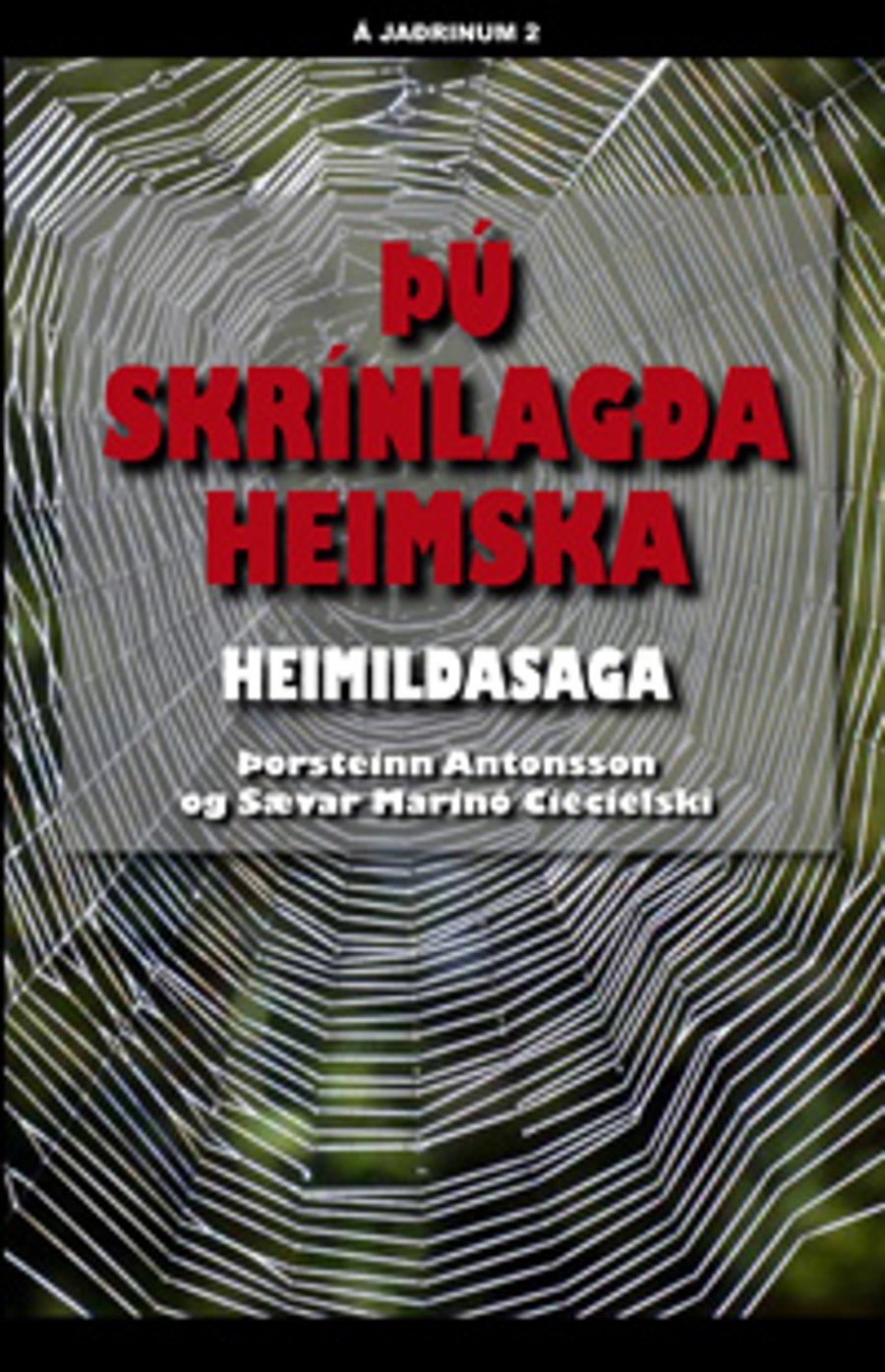 Þú skrínlagða heimska