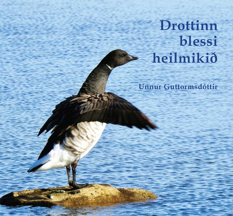 Drottinn blessi heilmikið