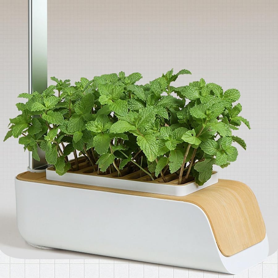 GROW YOUR OWN - SMART GARDEN