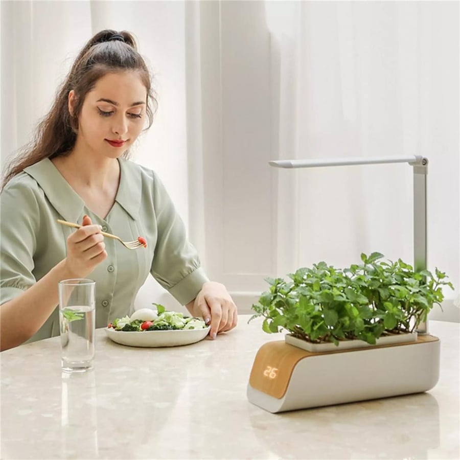 GROW YOUR OWN - SMART GARDEN